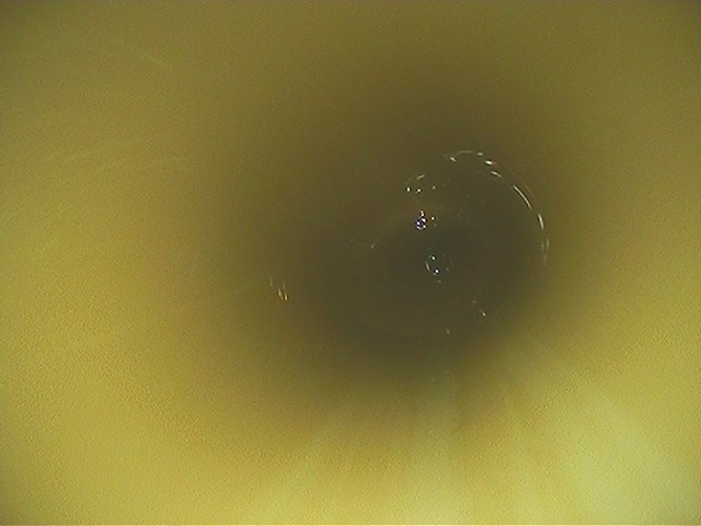 給水・給湯管洗浄工事