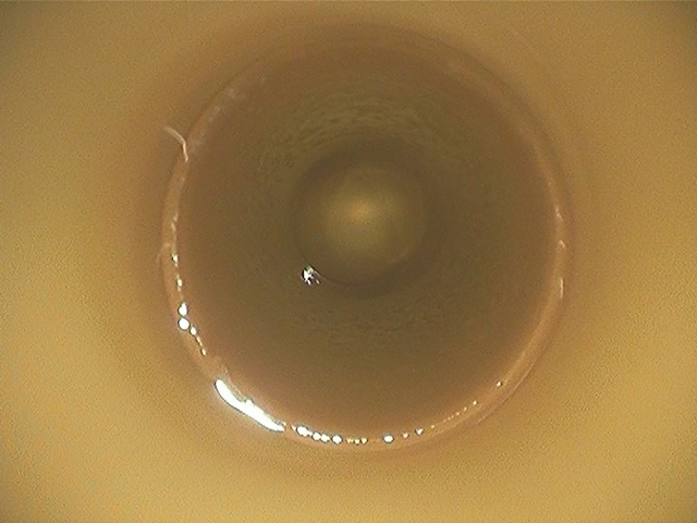 給水・給湯管洗浄工事