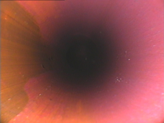 給水・給湯管洗浄工事