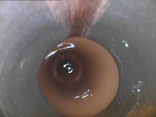 給水・給湯管洗浄工事