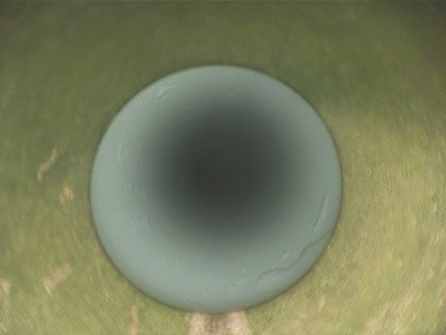 給水・給湯管洗浄工事