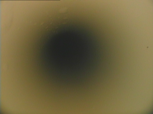 給水・給湯管洗浄工事