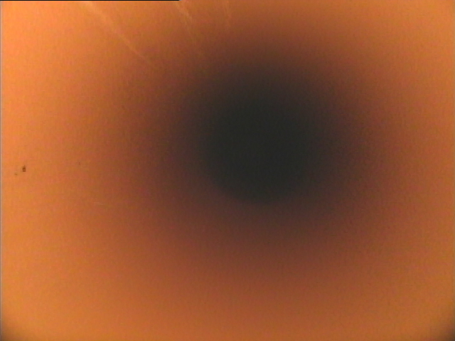 給水・給湯管洗浄工事