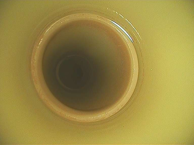 給水・給湯管洗浄工事