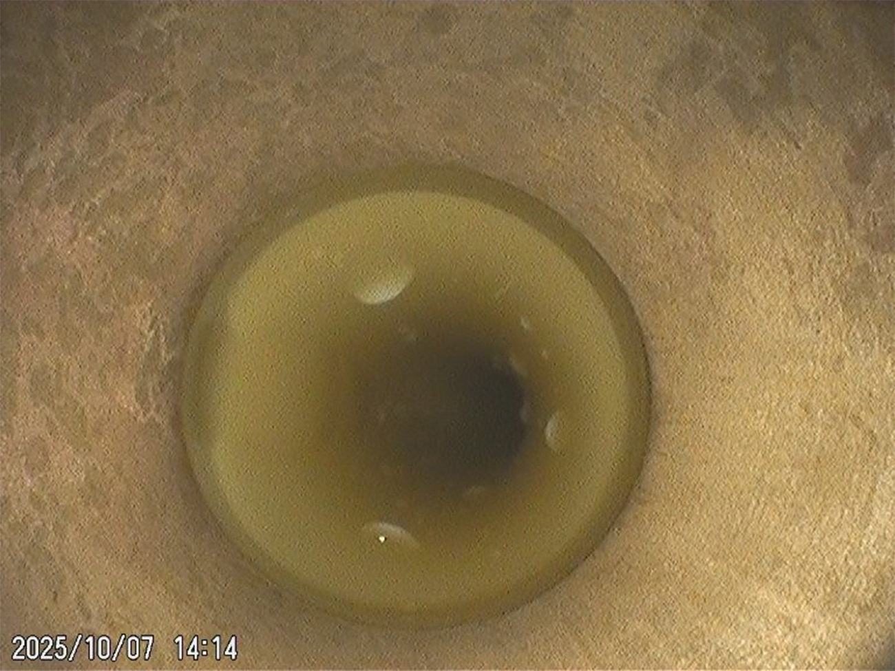 給水・給湯管洗浄工事