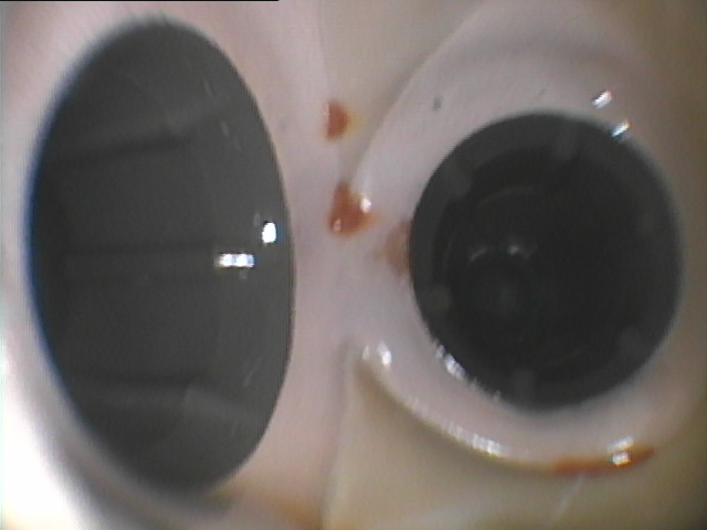 給水・給湯管洗浄工事