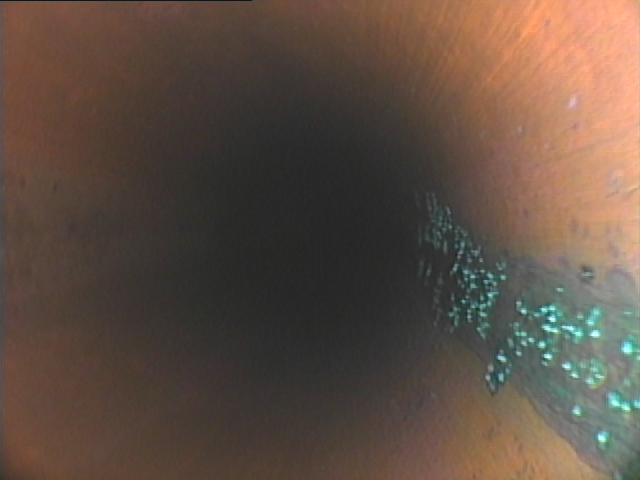 給水・給湯管洗浄工事